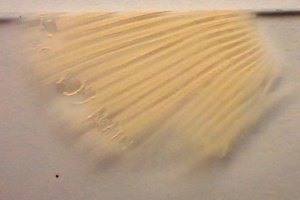 Sporée de Russula xerampelina, Russule écrevisse, Planet (Saint-Laurent, 74), ©Photo Gérard Rivet