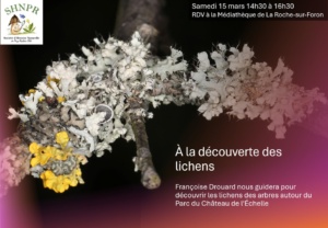 À la découverte des lichens avec Françoise Drouard