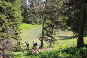 Boucle Plateau de Loex (Taninges - Verchaix), 9 juin 2025, Groupe dans zone humide