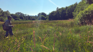 Denis Jordan dans le Marais de Maravant