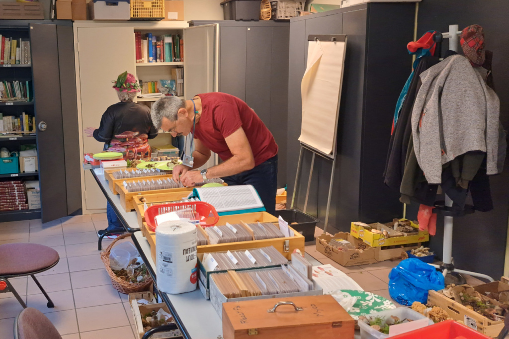 Travail d'identification, ©Photo Alain Benard