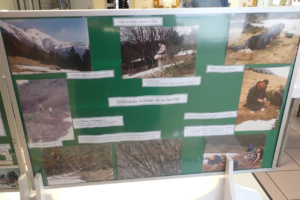 Panneau sur les milieux dans la partie Myxomycètes, ©Photo Alain Benard