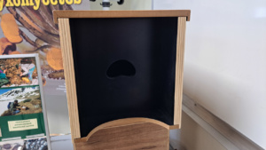 Partie Myxomycètes, Sporoscope, ©Photo Alain Benard