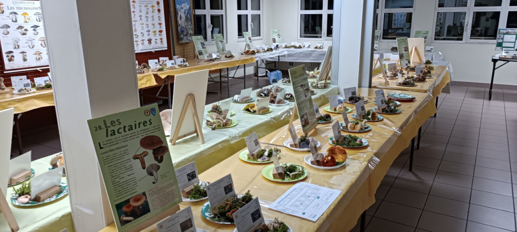 Salle d'exposition, ©Photo Alain Benard