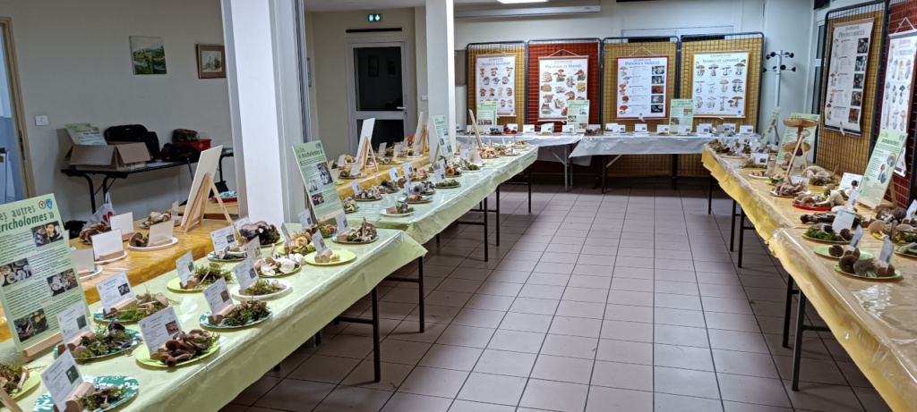 Salle d'exposition, ©Photo Alain Millet