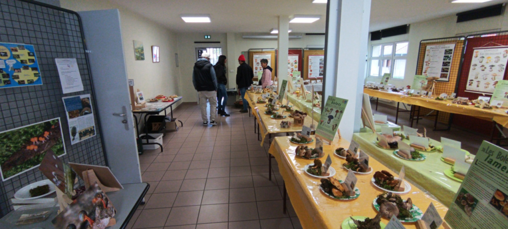 Salle d'exposition, ©Photo Alain millet