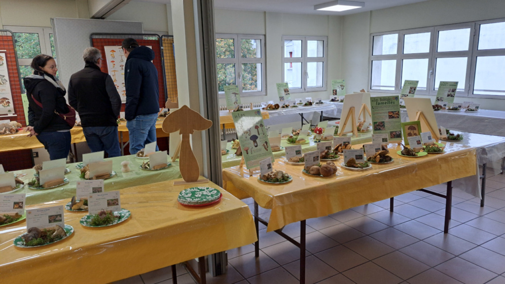 Salle d'exposition, ©Photo Alain Benard