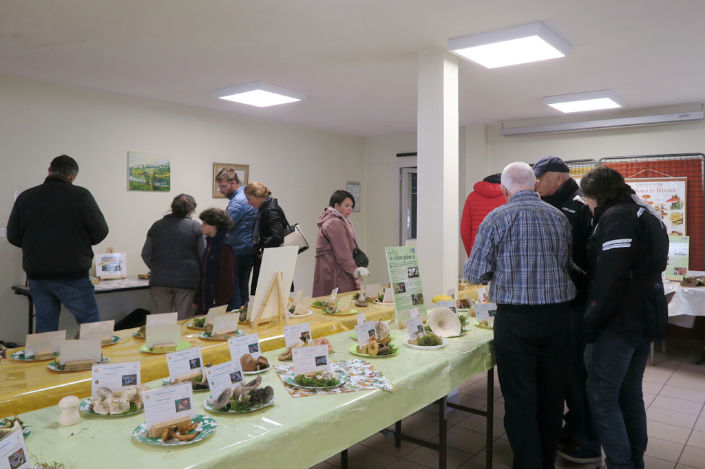Salle d'expo qui commence à se remplir, ©Photo Gérard Rivet