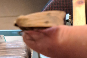 Une visiteuse, Noctua pronuba, le Hibou