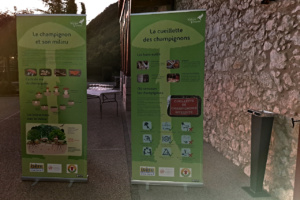 Conférence Les Champignons de notre région, Château de Menthon-Saint-Bernard