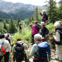 Groupe de botanistes avec leurs deux guides pour un peu de geologie, Vallon de la Fauge (Villard-de-Lans, 38), ©Photo Franca Viviand