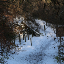 Parcours Familial et Sportif Louis Constantin, Barres parallèles, Vue d'hiver, ©Photo Alain Benard