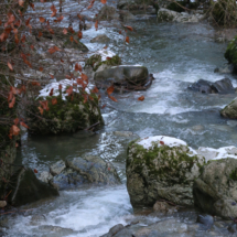 Parcours Familial et Sportif Louis Constantin, Ruisseau, Vue d'hiver, ©Photo Alain Benard