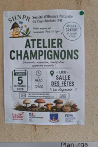 Affichette Atelier Champignons au Reposoir